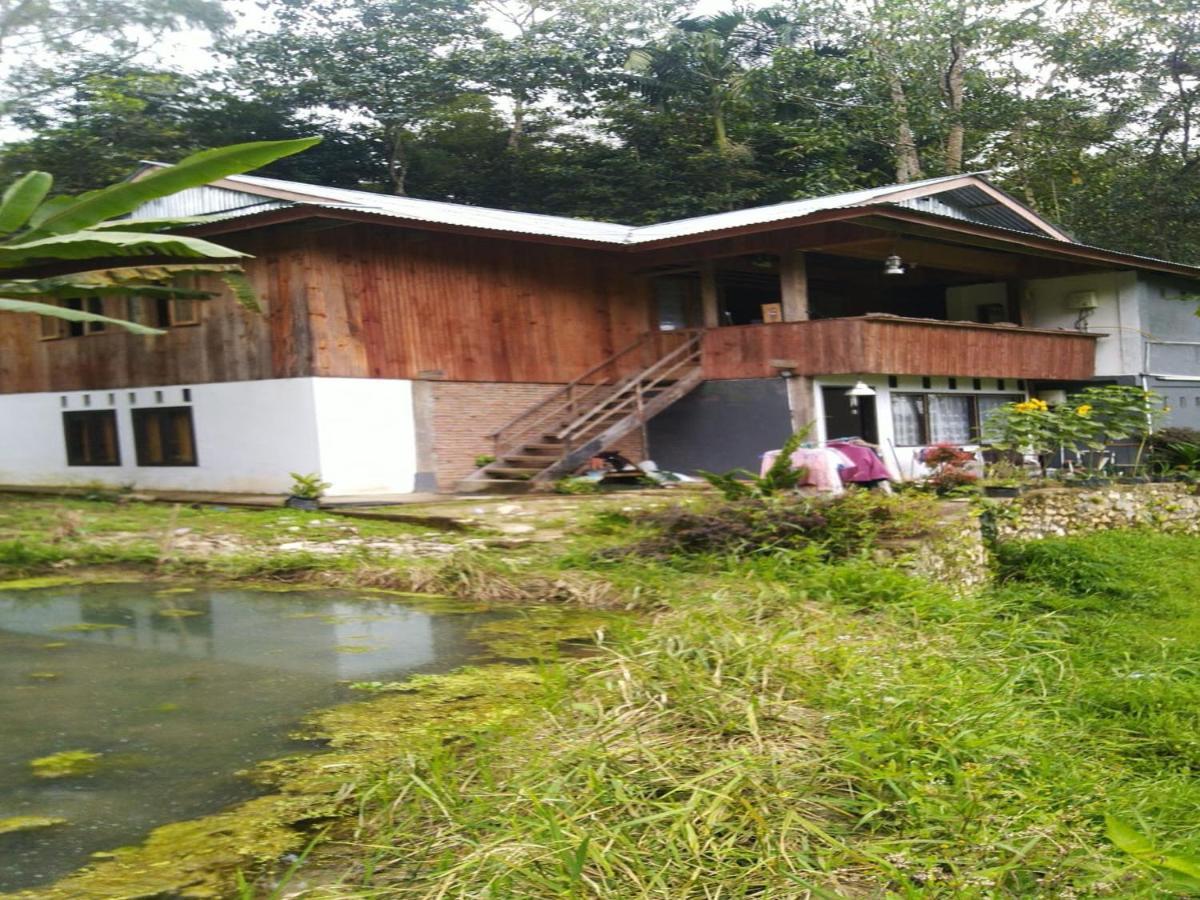 Wisma Papa Tia Toraja Tana Toraja Exteriér fotografie